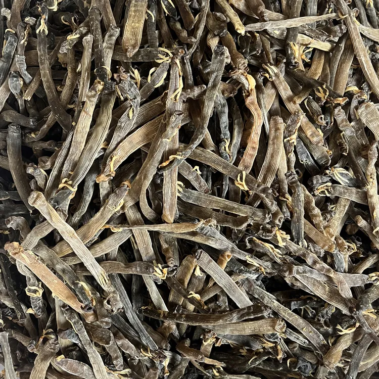 灰黄沙虫干北海特产天然沙虫干营养美味佳品