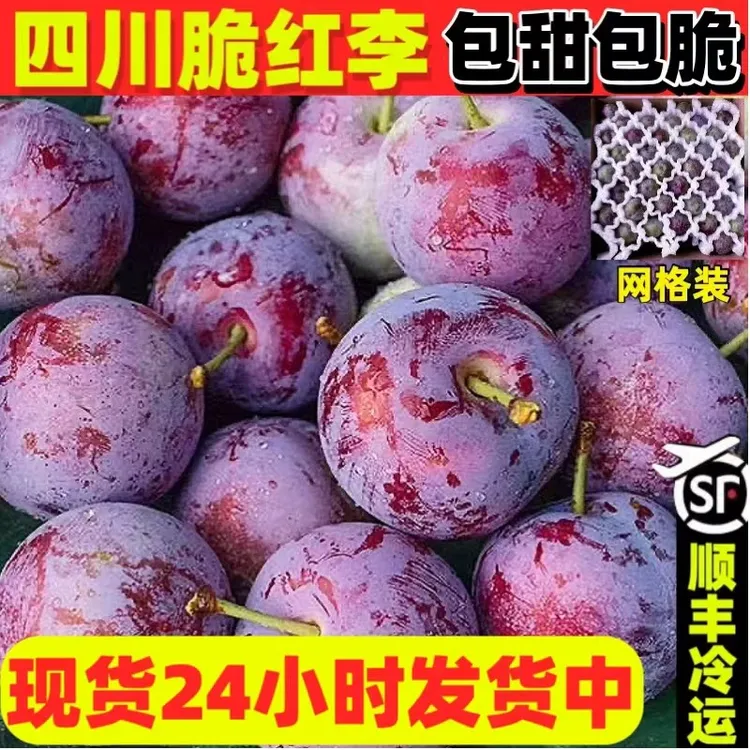 四川青红脆李脱骨李青李正宗脱骨新鲜应季水果脆甜多汁高山生态