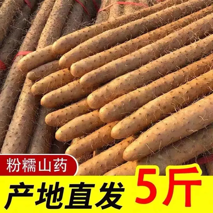 正宗铁棍小白嘴山药新鲜带土5斤产地直发