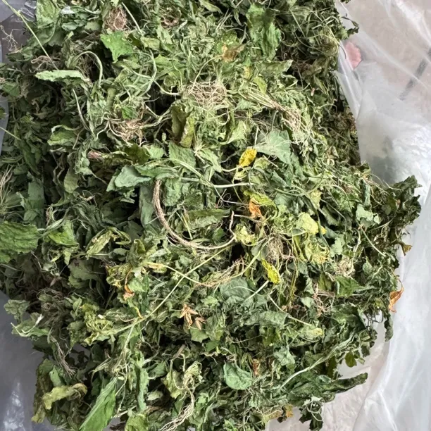 【蛟哥土特产】楠溪江秋浓白