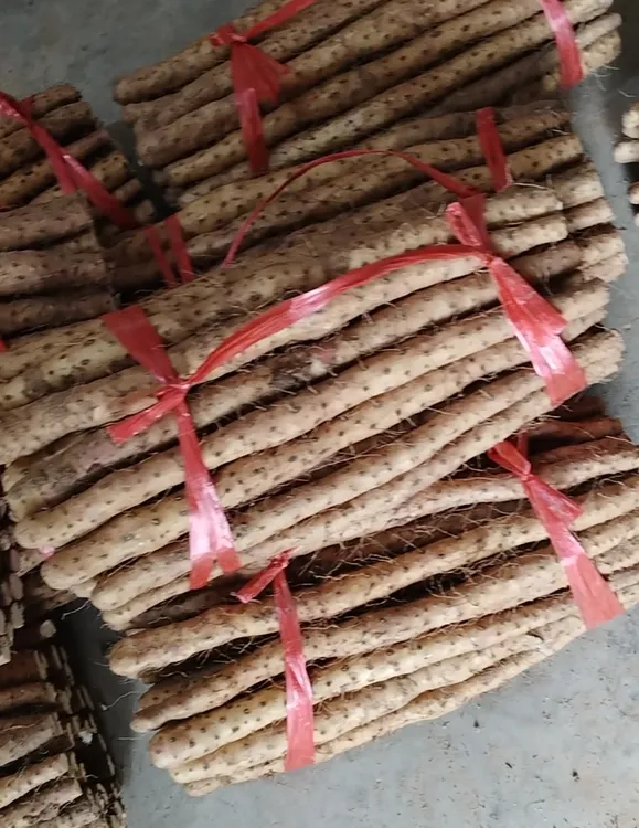 铁棍山药软糯香甜新鲜营养高适合蒸煮煲汤宝宝辅食