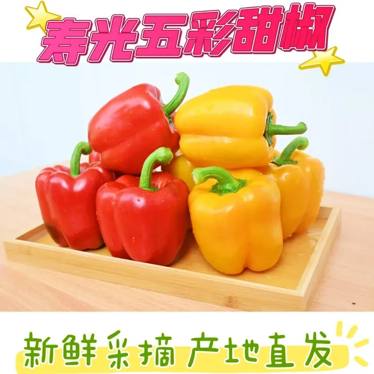 山东寿光现摘水果彩椒新鲜五彩甜椒生吃不辣