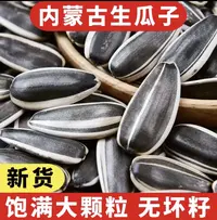买一斤送一斤内蒙古新鲜原味细长葵花籽生瓜子休闲零食居家必备