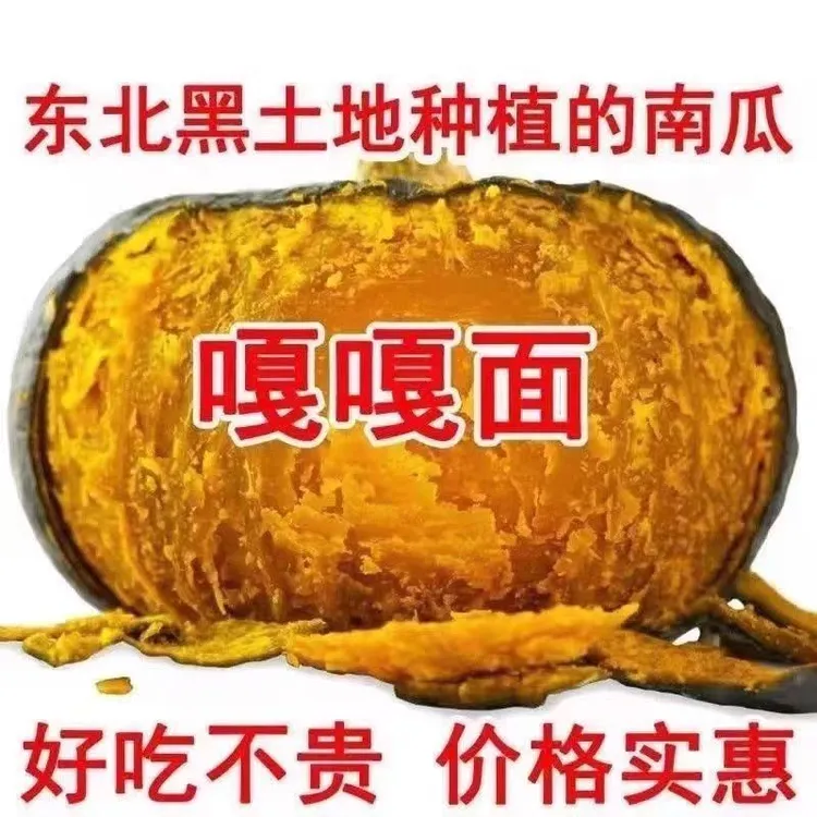 东北谢花面大窝瓜