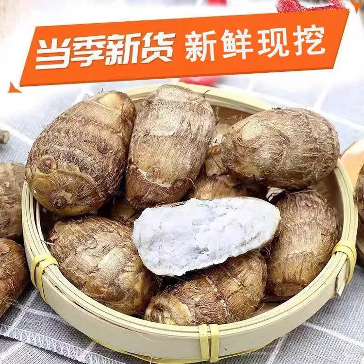 【带箱五斤/九斤】云南高原牛奶小芋头新鲜芋艿芋头仔