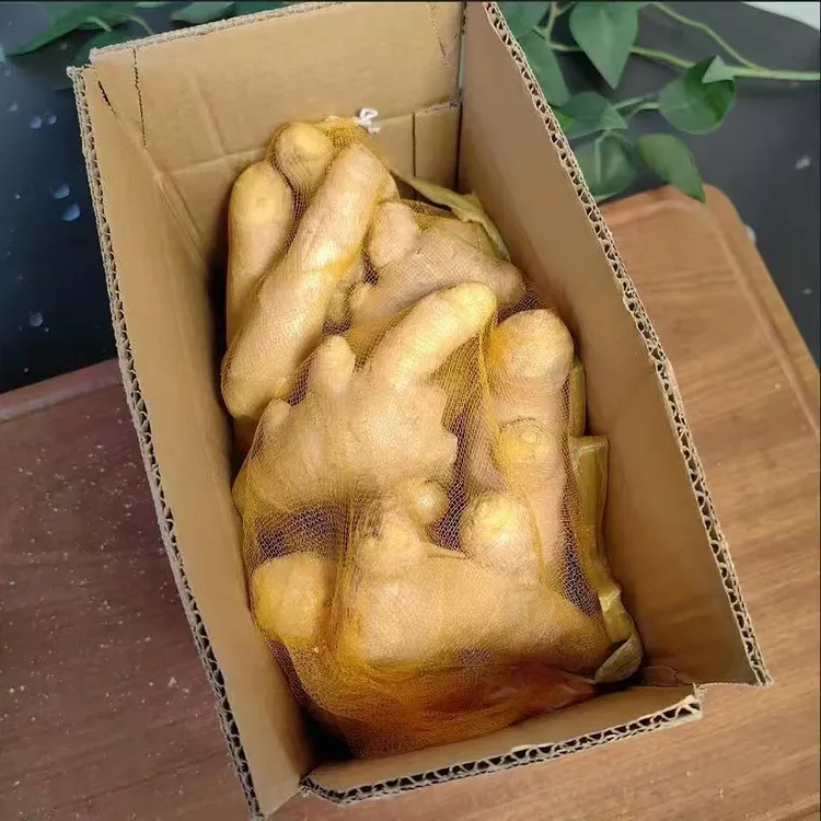 山东生姜新鲜老姜大姜健康生姜水洗无泥风干纯正黄姜母大姜原生态