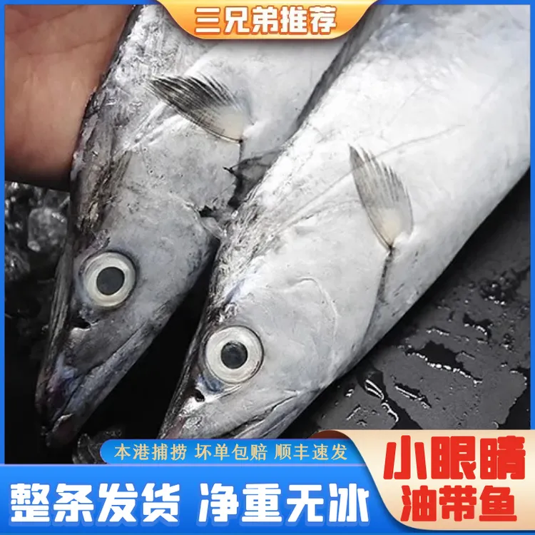 【三兄弟海鲜】特大号野生冷水小眼睛油带鱼整条直播净重4条约3.5斤