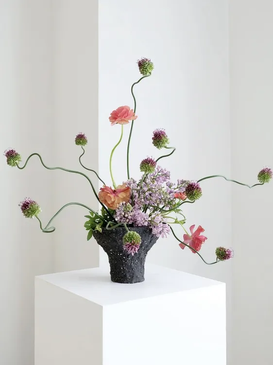 弯葱优质水培鲜切花 线条感 云南鲜花冷链包邮