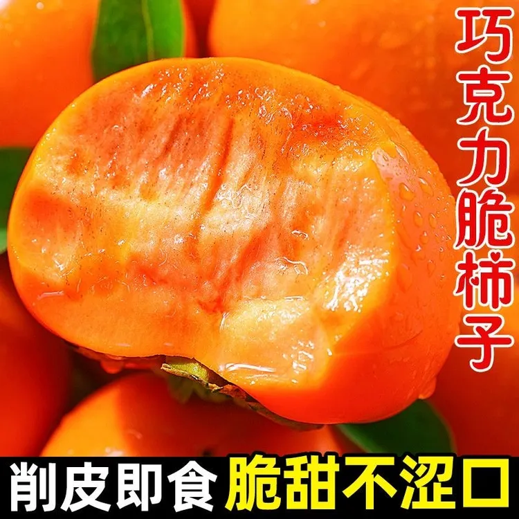 现摘脆柿子新鲜巧克力硬柿子水果5斤整箱批发应季时令甜柿子大果