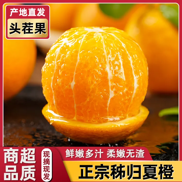 新鲜秭归夏橙大果当季整箱应季水果包邮饮品榨汁橙子酸甜多汁
