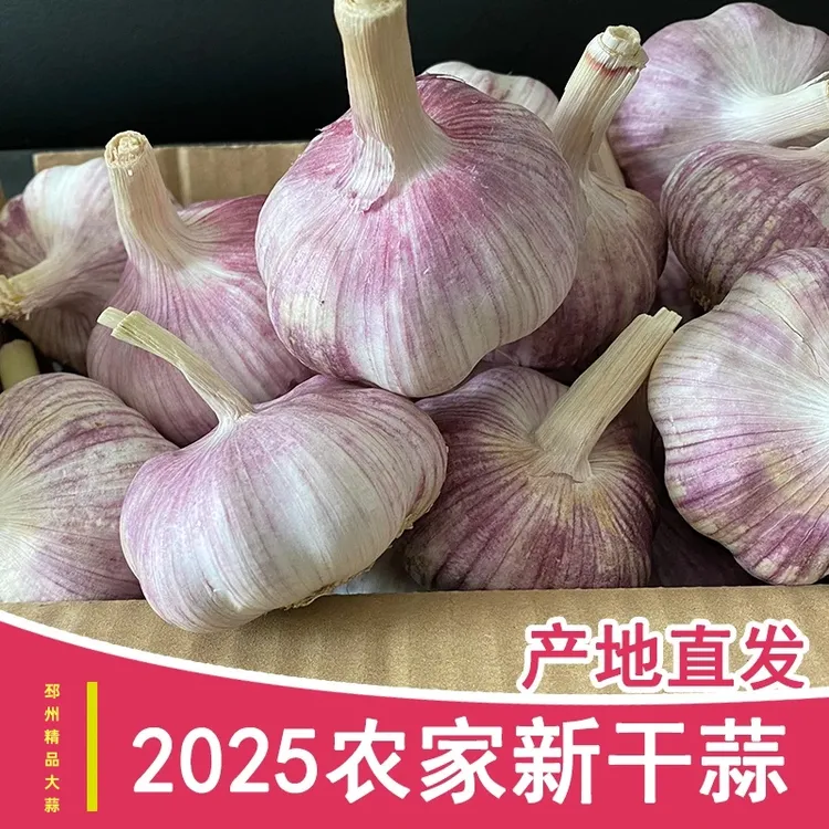 新粉!2025新干蒜紫白皮产地直发头邳州精品大蒜头干蒜
