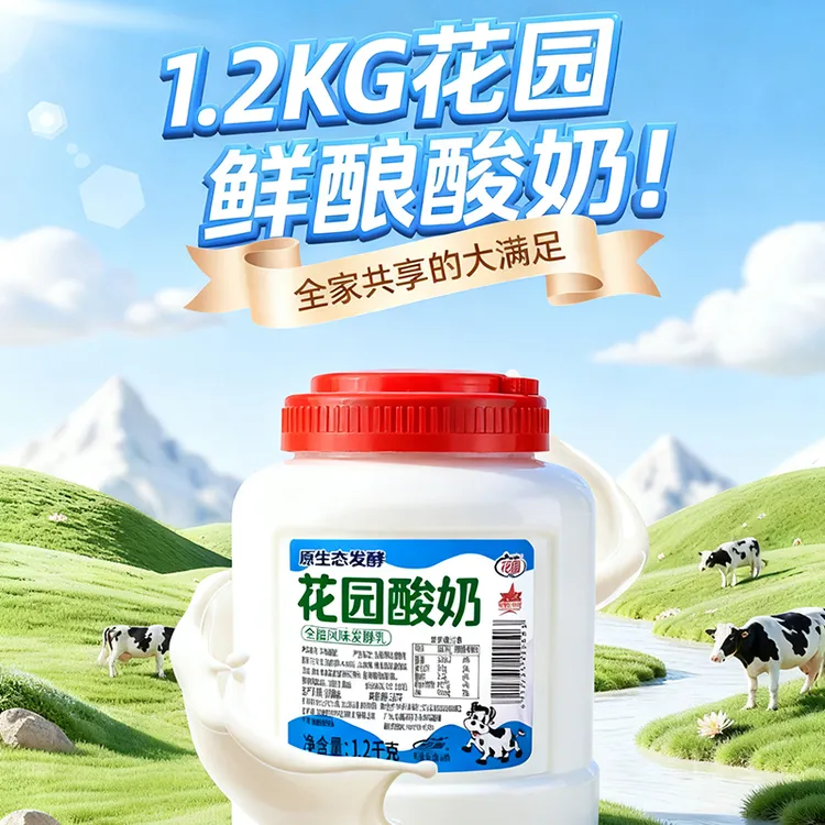 新疆桶装原味酸奶发酵浓稠风味发酵老酸奶