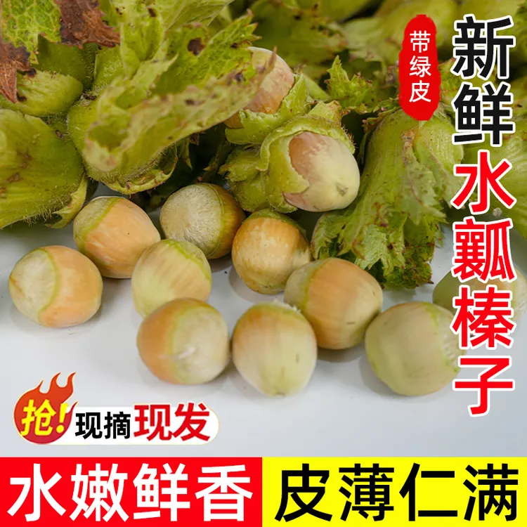 新鲜生榛子辽宁大榛子东北榛子现摘新货原味坚果