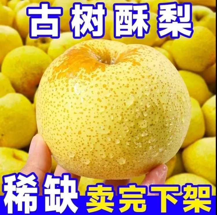 【砀山酥梨】果园现摘 脆甜多汁 皮薄肉厚 坏果包赔