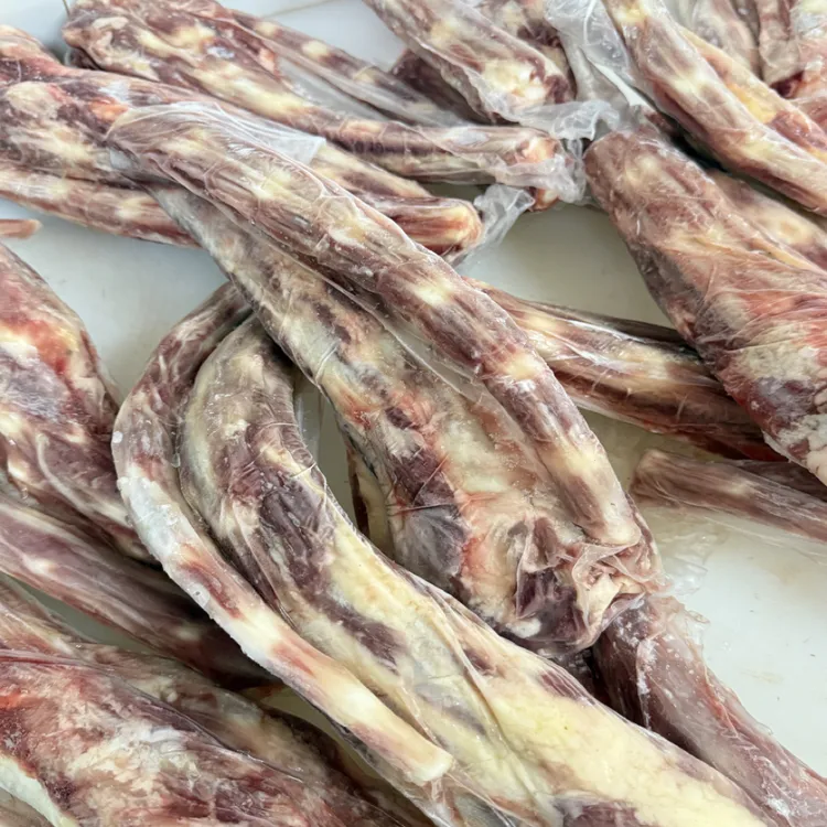 谷饲满肉牛尾中断无桩无根速冻发货适合炖煮