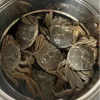 【活蟹】盘锦河蟹2.0-1.7两10只装母蟹 顺丰发货