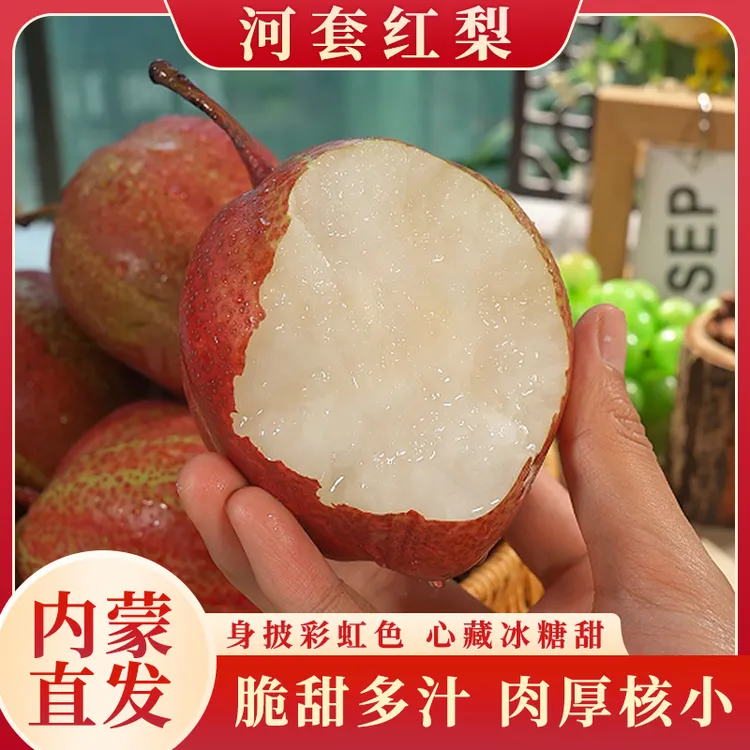 【内蒙直发】河套红梨新鲜水果高端红梨清脆爽口甜嫩多汁精选4斤起