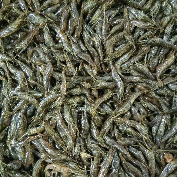 (速冻发货)纯野生小草虾(炸福利)