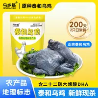 【乌乡基】原种泰和乌鸡200天成年公鸡谷物散养现杀680g/只日常装
