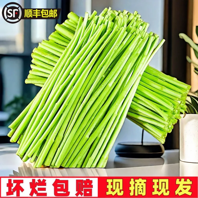 【直播专属】顺丰包邮 新鲜去叶去根 芦蒿藜蒿 农户自种 现摘现发
