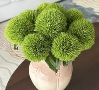 【葡璞专属】绿毛球  1扎 全场鲜花满两单升级顺丰冷链/德邦空运