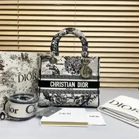 迪奥/95新/包包/250208EV0022/C13345743197