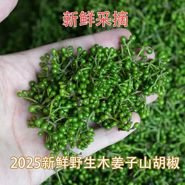 2025湖北邓村新鲜现摘木姜子新鲜山胡椒现摘现发木姜子下饭菜现货