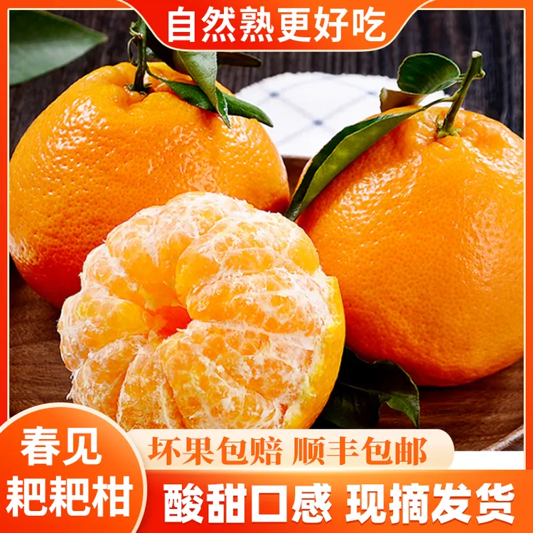 观梧四川耙耙柑爆汁还原食物本来味道