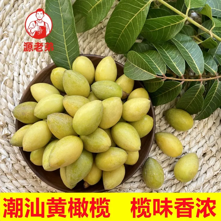 源老弟香黄橄榄新鲜采摘煲汤榨汁生吃回甘味十足金灶老橄榄