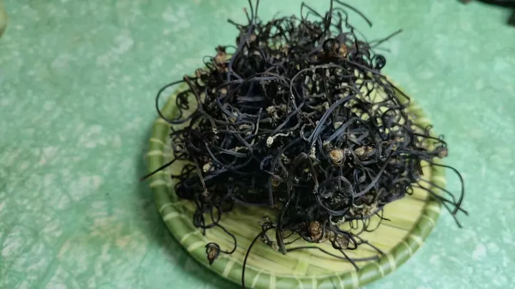 【寿宁山珍】蕨菜干苦蕨干龙爪菜干嫩蕨特产山货脱水