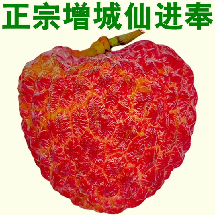 新鲜果园【正宗增城市仙进奉荔枝】大山深处晚熟靓果无污染新鲜挑摘