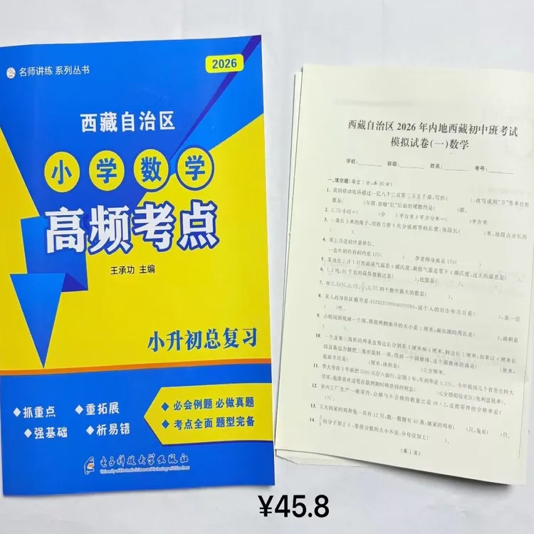 小升初总复习（语文，综合，数学，英语)2026