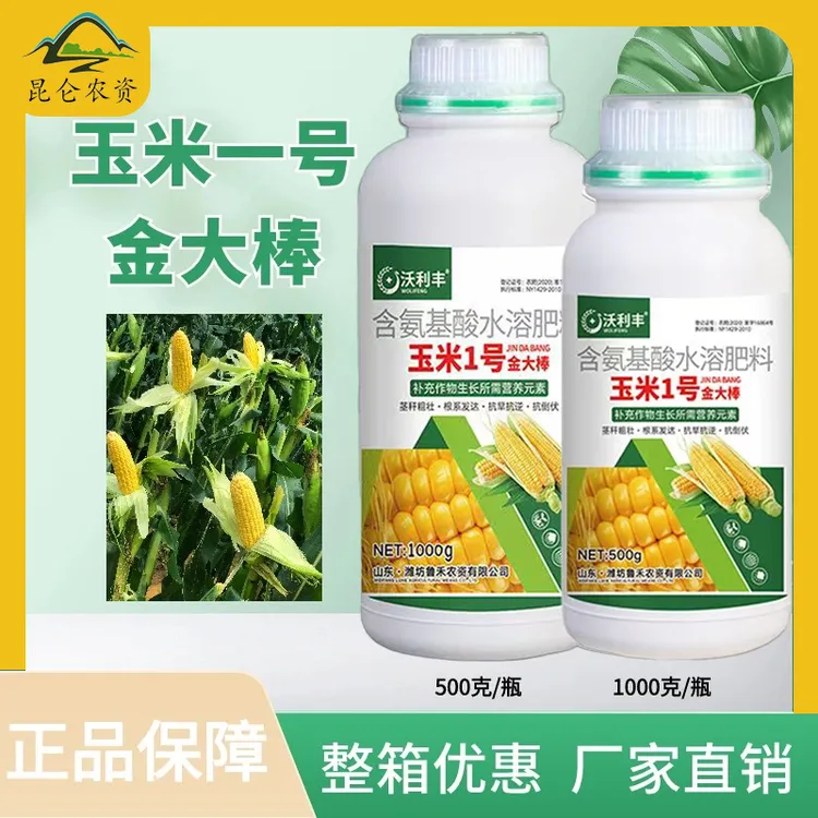 玉米一号金大棒玉米种植玉米增产增收颗粒饱满抗倒伏专用