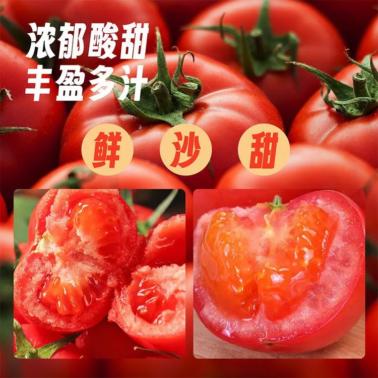 普罗旺斯水果西红柿沙瓤多汁自然熟商品图