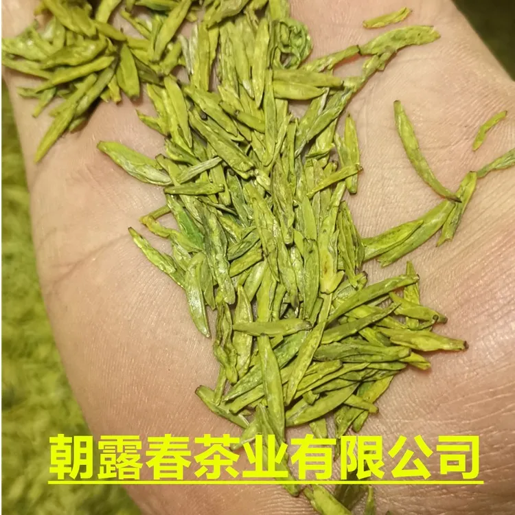 甘肃陇南文县碧口李子坝明前茶