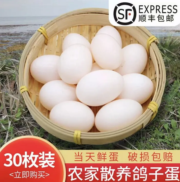 农家五谷喂养新鲜散养鸽土鸽蛋孕妇宝宝辅食佳选