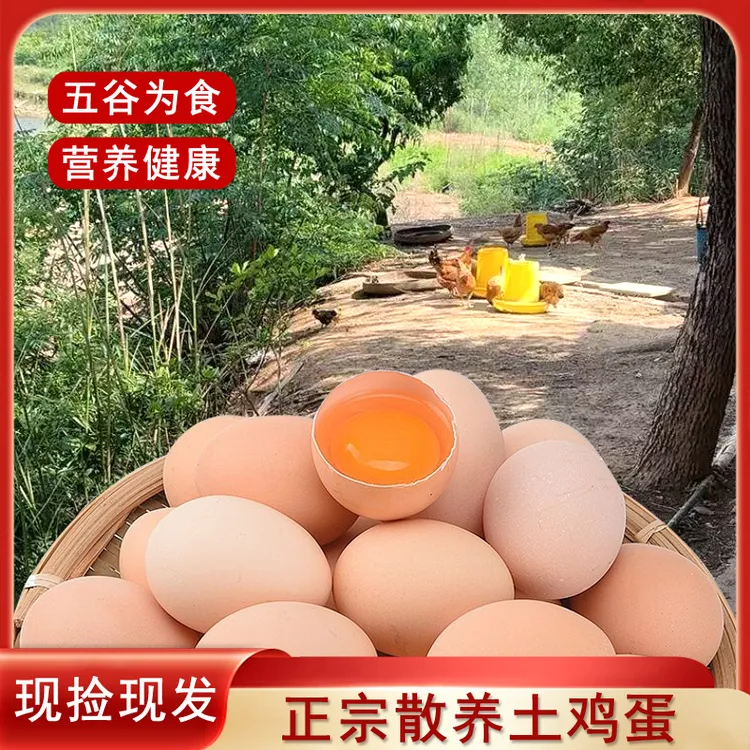 山林农村散养原生态新鲜土鸡蛋健康美味现捡现卖