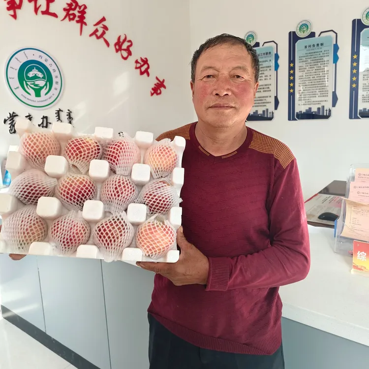 内蒙古赤峰市宁城县小城镇新鲜采摘蒙富苹果