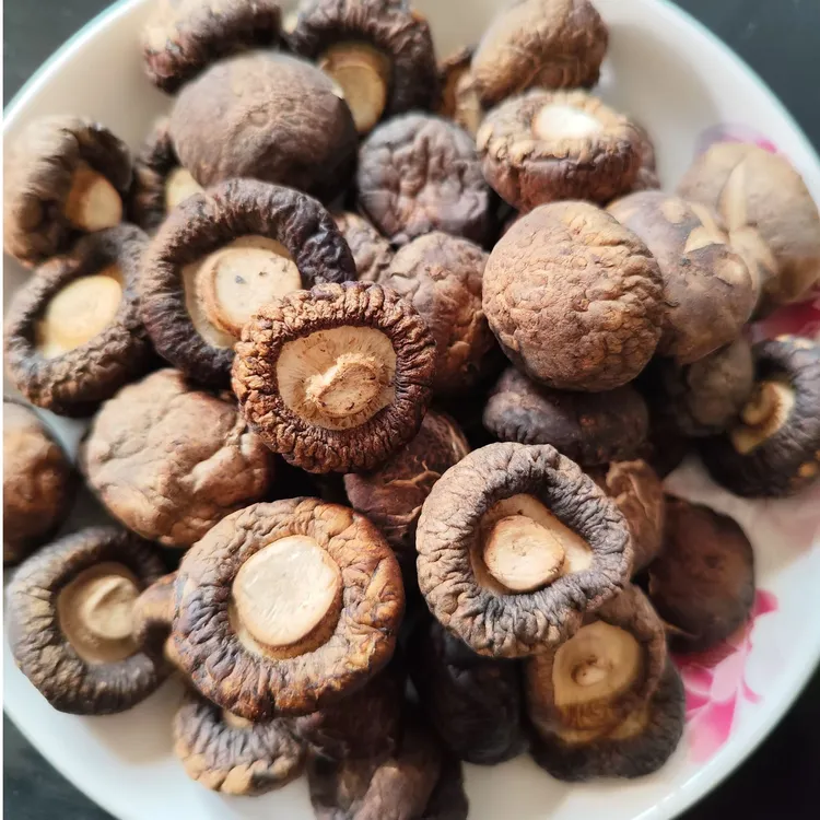 陕西 秦岭大山香菇   肉厚鲜香