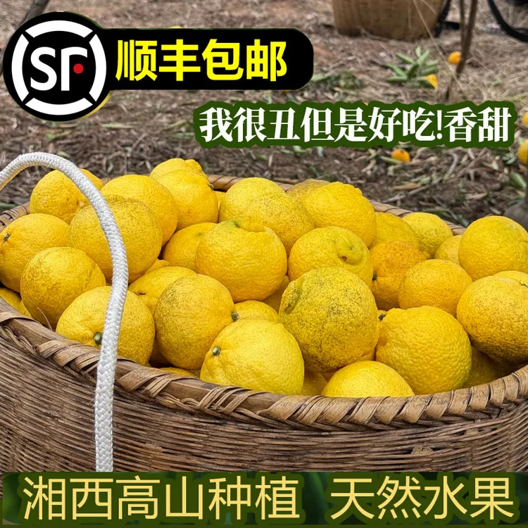 【助力果农】湘西怀化黄金贡柚应季新鲜孕妇水果春香柚象山青橘柚