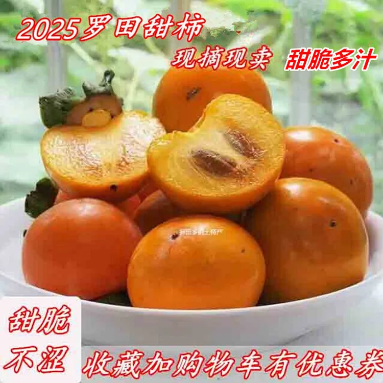 罗田甜柿子农家现摘现发当季新鲜水果三里畈錾字石小甜柿硬脆柿子