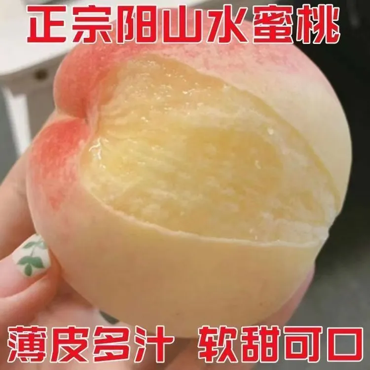 当年接果水蜜桃树苗南方北方均可种植盆栽地栽果树苗