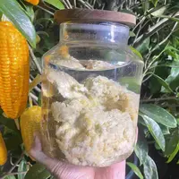 3【天-然-石-太-岁】净含量50 g-1500g【金金现收】菌