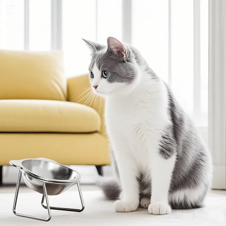 新款猫咪狗狗304不锈钢护颈喝水食盘碗高脚斜口碗猫碗粮盆碗餐具