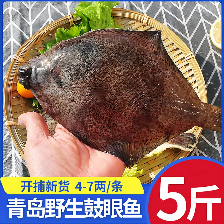 新货青岛特产 鼓眼鱼5斤高眼鱼鲜活冷冻偏口鱼比目鱼多宝鱼