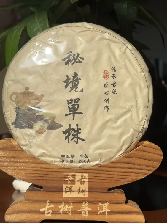 （冬源普洱茶）秘境单株 山野之气明显 甜度胜似冰岛