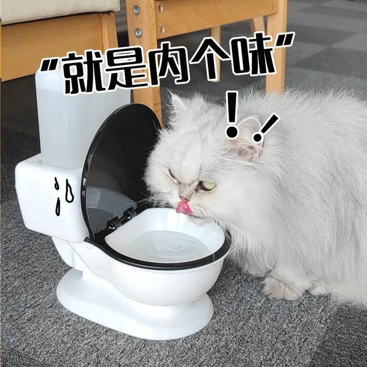 搞笑猫咪喝水器宠物用水碗小狗狗饮水机马桶2635人赞好可爱萌宠用