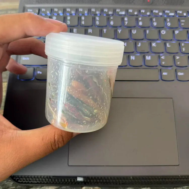 自用棒棒虫诱鱼剂视频同款鱼饵