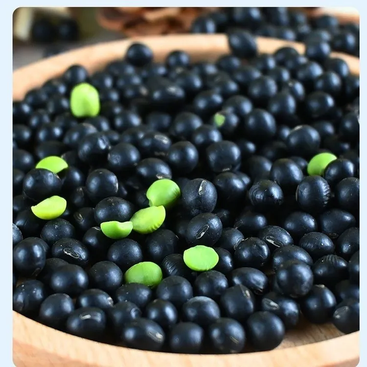 清远农家绿心黑豆自产纯天然非转基因打豆浆专用药用杂粮自种500g