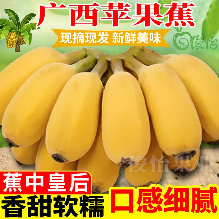 广西苹果蕉当季时令水果3/5/9斤产地直发香甜软糯香蕉西贡蕉批发